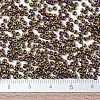 MIYUKI Round Rocailles Beads X-SEED-G007-RR0462-4