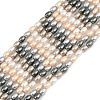Electroplated Shell Pearl Beads Strands BSHE-H113-06B-03-1