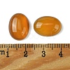 Natural Red Agate Cabochons G-L601-03B-03-3