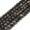 Natural Fluorescent Syenite Rock(Glow under UV Light) Beads Strands G-K340-A05-03-1