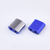 FGB 2-Hole Glass Seed Beads SEED-S031-L-048-H-2