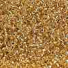Pale Goldenrod 11/0 Grade A Round Transparent Glass Seed Beads X-SEED-Q007-F33-3
