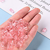 Transparent Acrylic Beads TACR-S154-27B-26-5