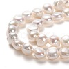 Natural Cultured Freshwater Pearl Beads Strands PEAR-L033-53-2