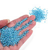 Round Glass Seed Beads SEED-A007-2mm-163-5