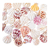 30Pcs Natural Shell Pendants PALLOY-PH01840-6