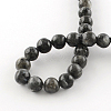 Natural Larvikite Round Beads Strands X-G-R342-8mm-09-3