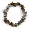 Unisex Chip Natural Labradorite Beaded Stretch Bracelets BJEW-S143-19-2