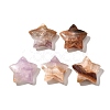 Natural Amethyst Lace Agate Pendants G-A244-08F-1