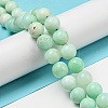 Grade A Natural Chrysoprase Beads Strands G-R494-A02-04-4