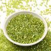 Transparent Colours AB Glass Seed Beads SEED-S042-19B-01-2