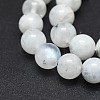 Natural Rainbow Moonstone Beads Strands G-I249-B04-02-4