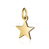 201 Stainless Steel Charms STAS-S105-T554D-8-2-1