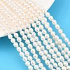 Natural Cultured Freshwater Pearl Beads Strands PEAR-D003-01A-1