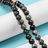 Natural Black Silver Leaf Jasper Beads Strands G-R494-A17-02-4