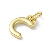 Rack Plating Brass Charms KK-P245-06G-C-2