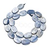 Natural Kyanite Beads Strands G-H335-D01-13x18mm-3