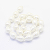 Shell Pearl Beads Strands BSHE-P024-10-2