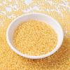 MIYUKI Round Rocailles Beads SEED-JP0009-RR0202-2