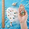 4 Strands 4 Colors Freshwater Shell Beads Strands SHEL-SC0001-13-3