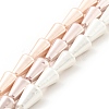 Electroplated Shell Pearl Beads Strands BSHE-G027-06-1