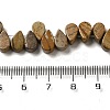 Natural Picture Jasper Beads Strands G-B064-B02-4