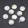 Shell Cabochons SSHEL-E568-B04-2