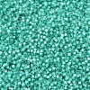 MIYUKI Delica Beads SEED-J020-DB0627-3