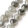 Natural Labradorite Beads Strands G-B022-32C-2