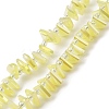 Electroplate Glass Beads Strands EGLA-S176-05A-B13-1