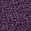 TOHO 8/0 Round Beads X-SEED-TR08-0625F-2