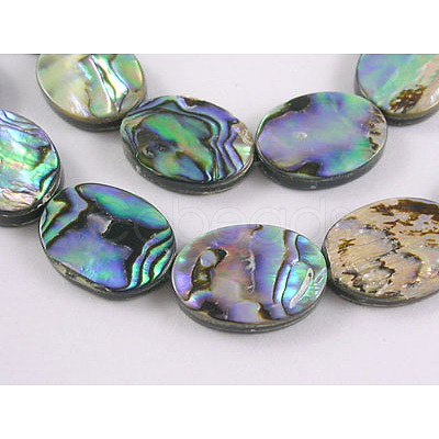 Natural Abalone Shell/Paua Shell Beads Strands SHS017-01-1