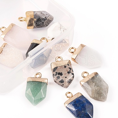10Pcs 10 Style Natural Gemstone Pointed Pendants G-LS0002-04-1