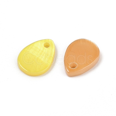 Spray Painted Natural Freshwater Shell Teardrop Charms SHEL-K006-47-1