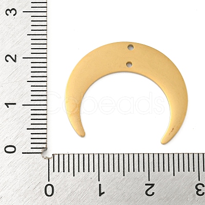 Ion Plating(IP) 304 Stainless Steel Connector Charms LS-STAS-B056-27G-1
