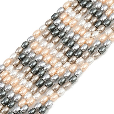 Electroplated Shell Pearl Beads Strands BSHE-H113-06B-03-1