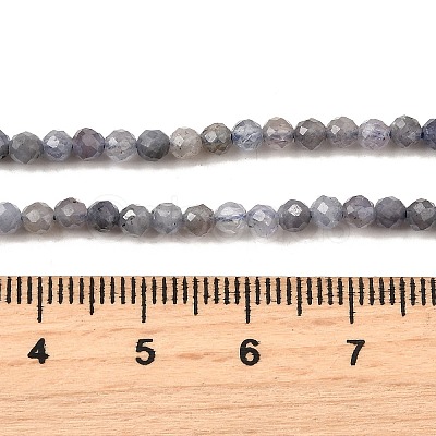 Natural Tanzanite Beads Strands LS-G-S387-A01-3mm-1