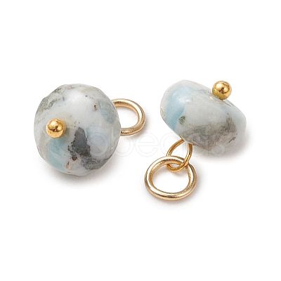Natural Larimar Pendants PALLOY-JF05885-1