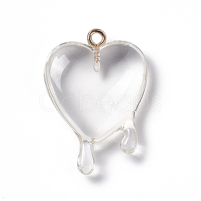 Transparent Resin Pendants RESI-F028-01E-1