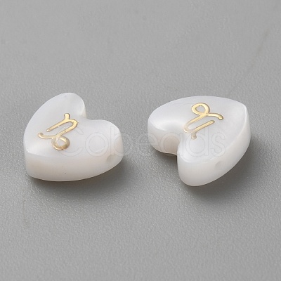 5Pcs Natural White Shell Beads LS-BSHE-TAC0004-02L-1