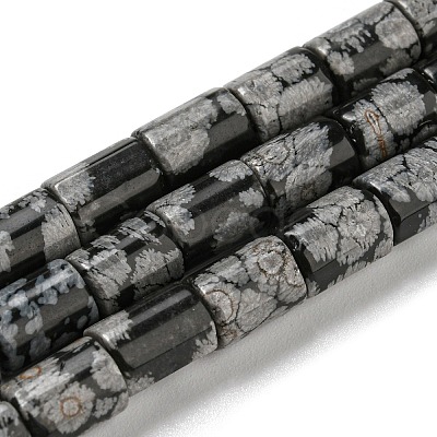 Natural Snowflake Obsidian Stone Beads Strands G-Q1008-A02-1