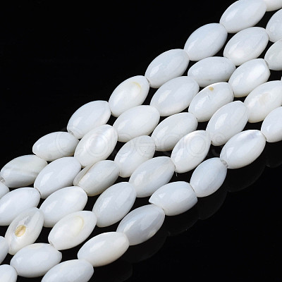 Natural Freshwater Shell Beads Strands SHEL-N003-25-A01-1