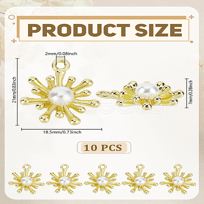 10Pcs Alloy Pendants FIND-LP0005-47-1