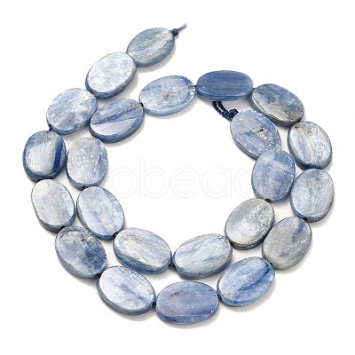 Natural Kyanite Beads Strands G-H335-D01-13x18mm-1