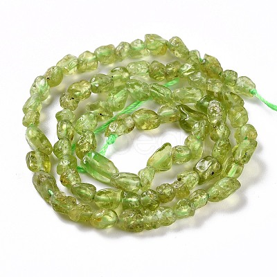 Natural Peridot Beads Strands X-G-D0004-A02-03-1