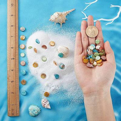 4 Strands 4 Colors Freshwater Shell Beads Strands SHEL-SC0001-13-1