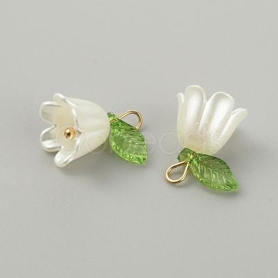 Opaque Resin Pendants LS-CRES-CJC0009-05G-01-1