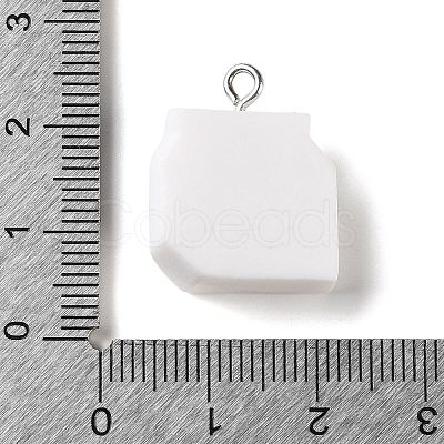 Opaque Resin Pendants RE-CBA3B4E-02E-1
