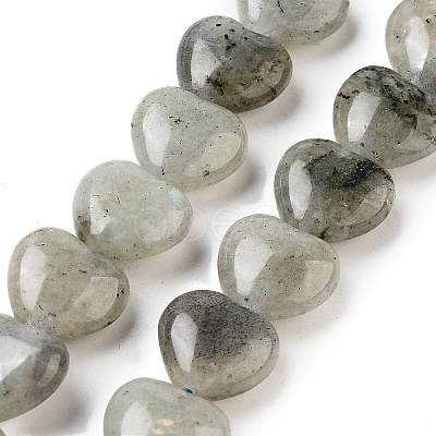 Natural Labradorite Beads Strands G-B022-32C-1