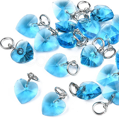 Faceted Transparent Glass Charms GLAA-T024-04E-1